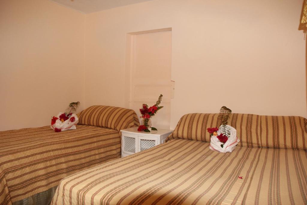 Executive Shaw Park Guest House Ocho Rios Kamer foto