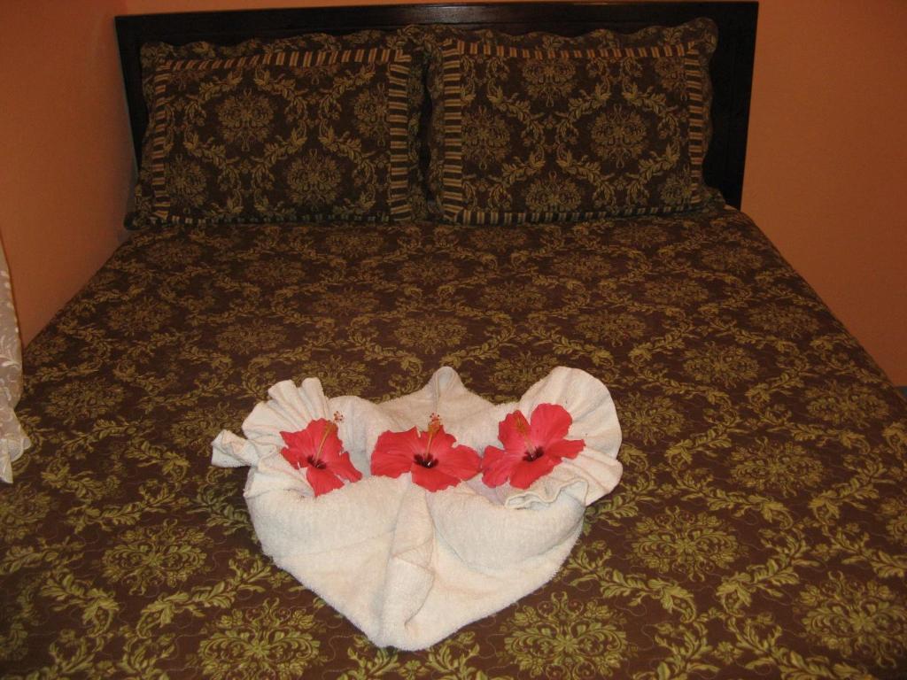 Executive Shaw Park Guest House Ocho Rios Buitenkant foto