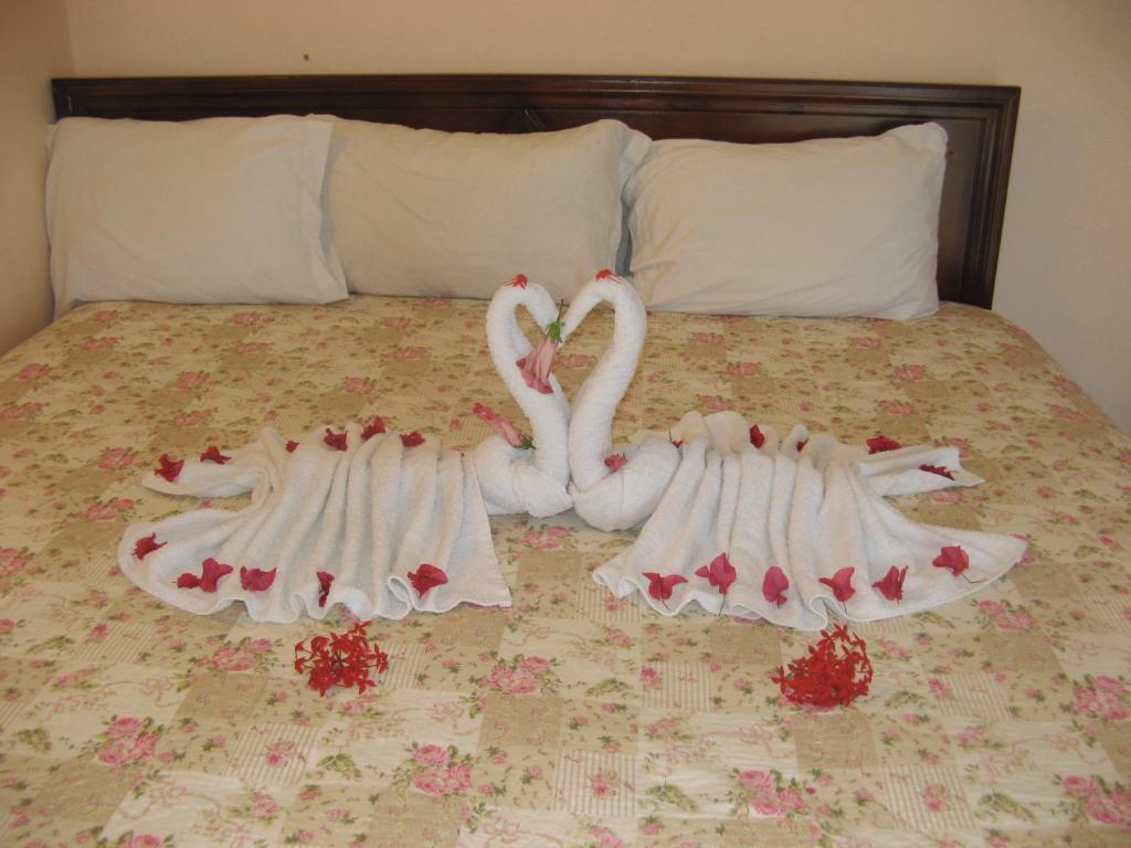 Executive Shaw Park Guest House Ocho Rios Buitenkant foto